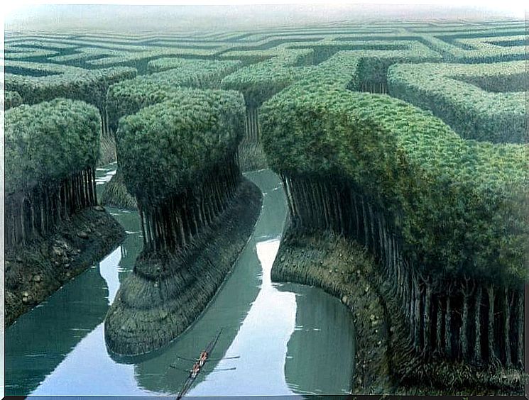 maze-shaped forest