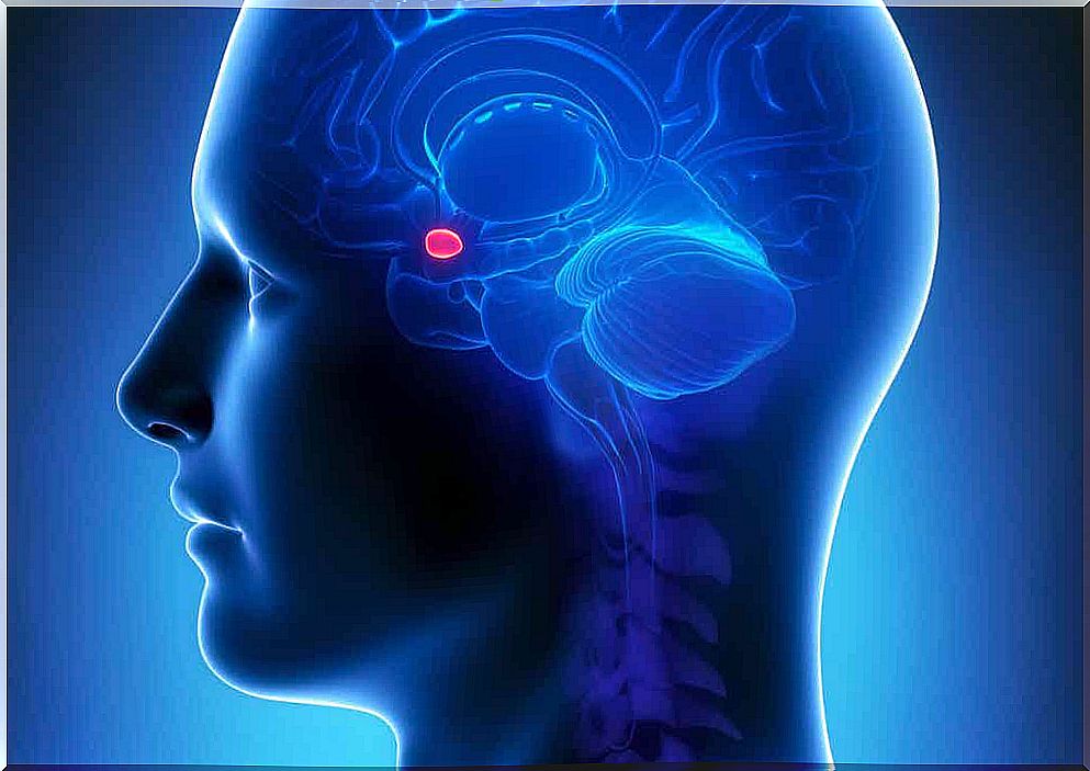 The neurological origin of ataraxia