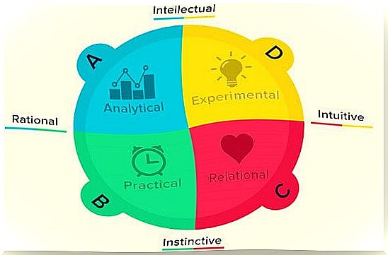 Brain Dominance According to Herrmann's Quadrants: What's Yours?