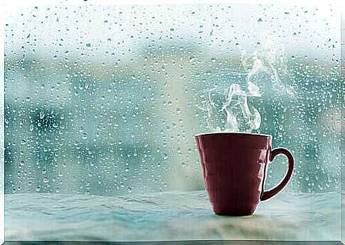 cup-of-coffee-in-the-window