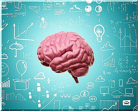 Neuroplasticity: thanks to it we never stop learning