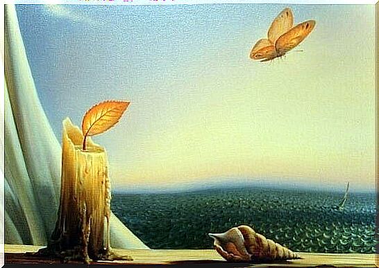 butterfly flying over the sea