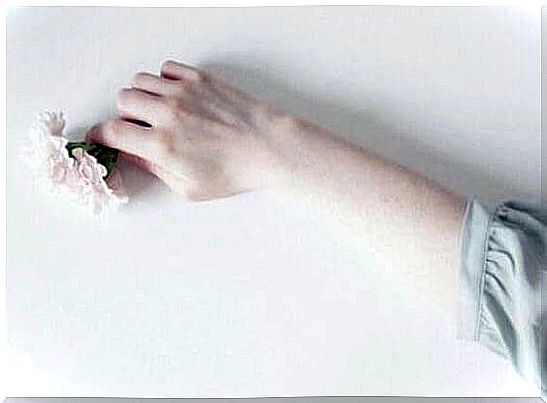 hand holding small flowers