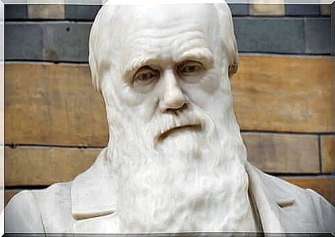 Charles Darwin's Best Sentences