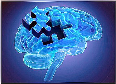 How does working memory work?