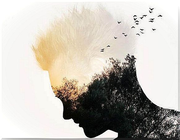 Human silhouette with flying birds