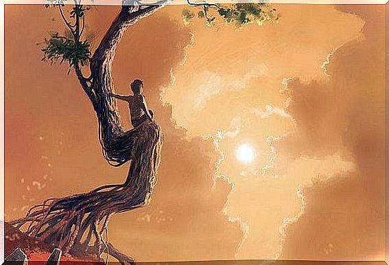 child climbing the tree