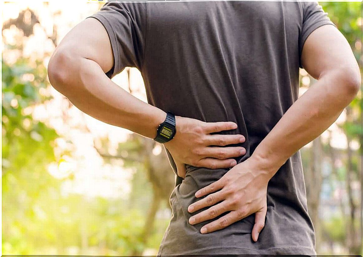 Back pain during exercise