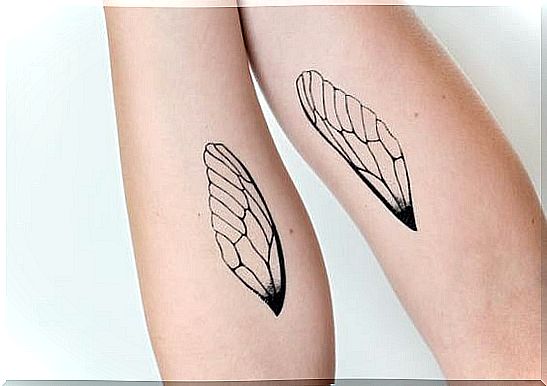 wing tattoo